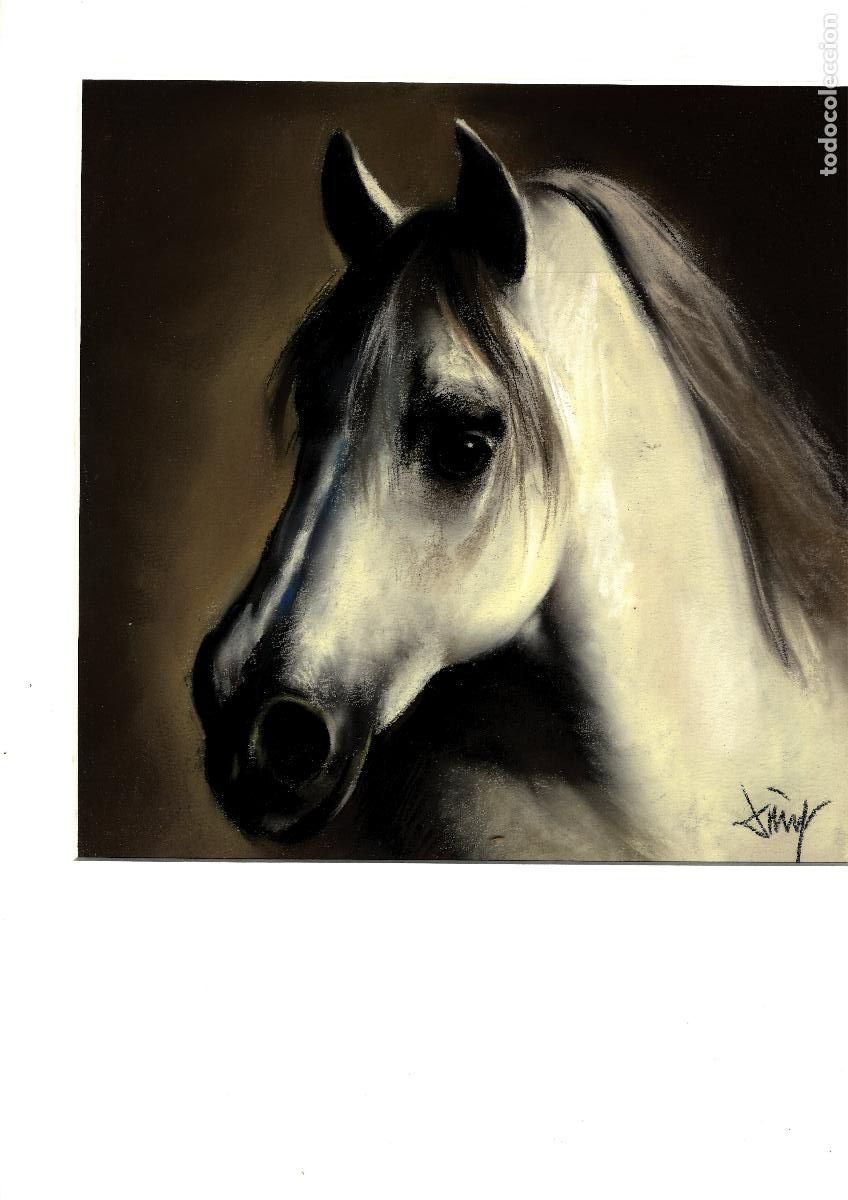 Arte: Domingo &Aacute;lvarez G&oacute;mez - Cabeza de caballo - 30x30 - Pastel