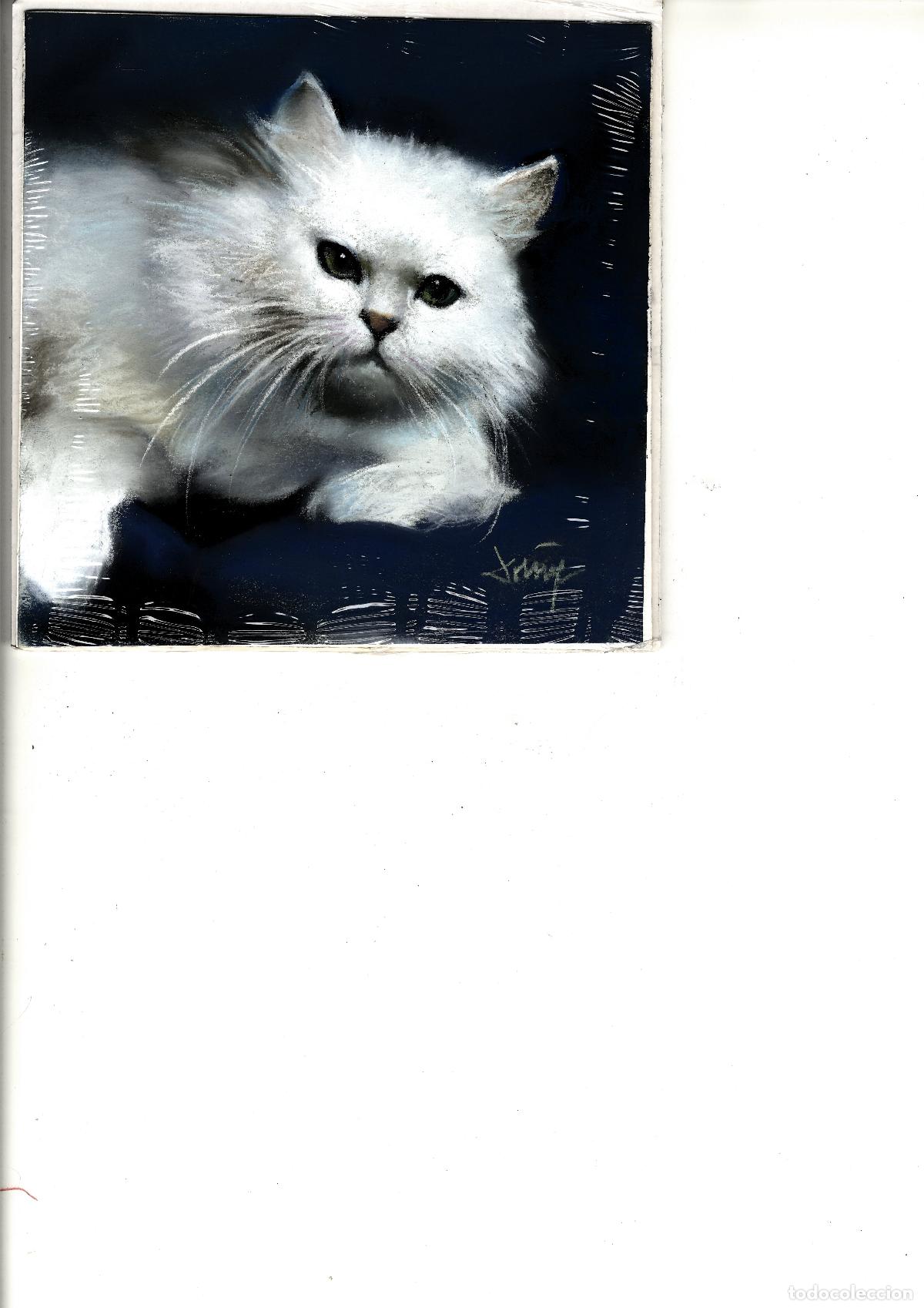 Arte: Domingo &Aacute;lvarez G&oacute;mez - Gato Blanco en Azul - 20x20 - Pastel
