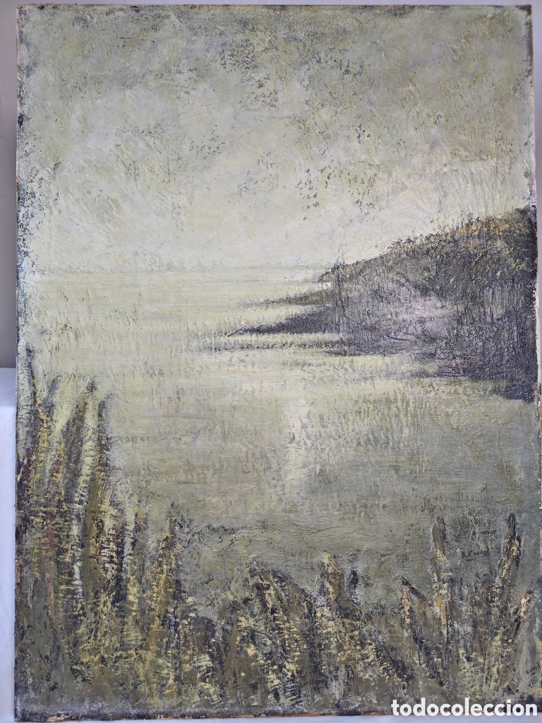 Arte: Paisaje por Anna Canal