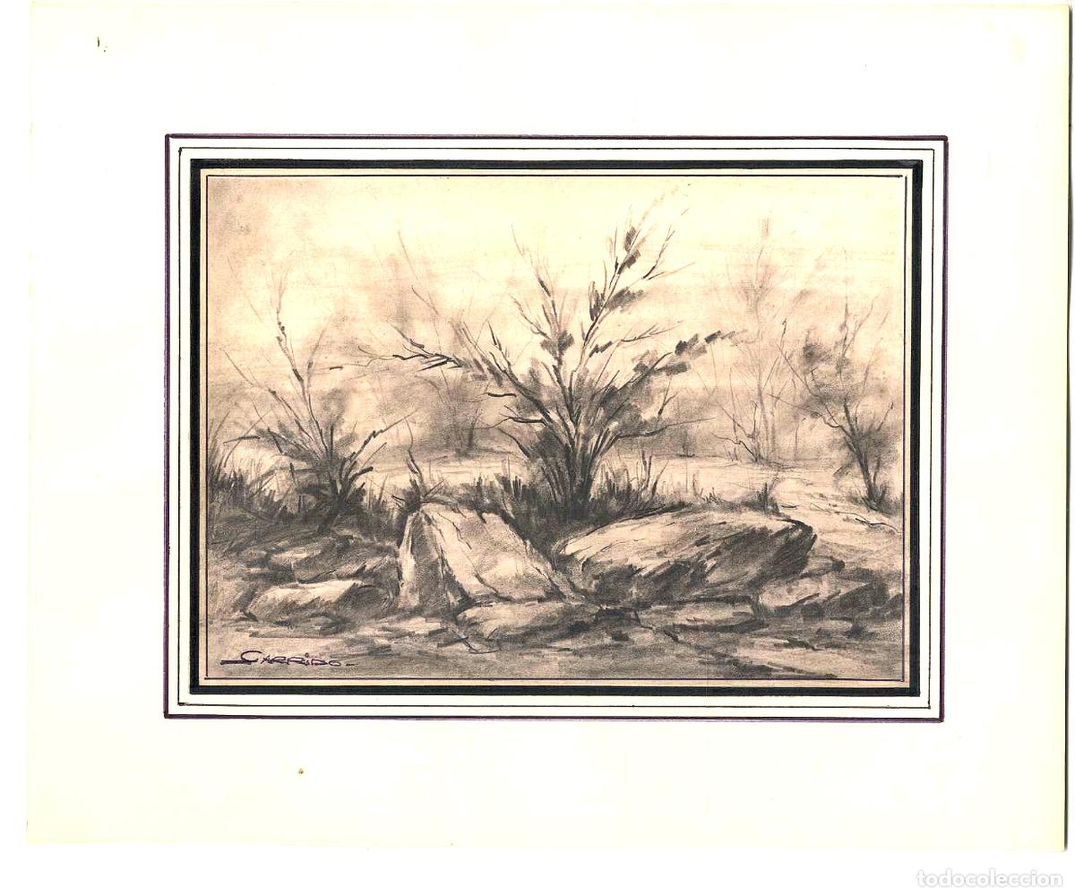 Arte: Garrido - Roca y maleza seca - 27x22 - Dibujo