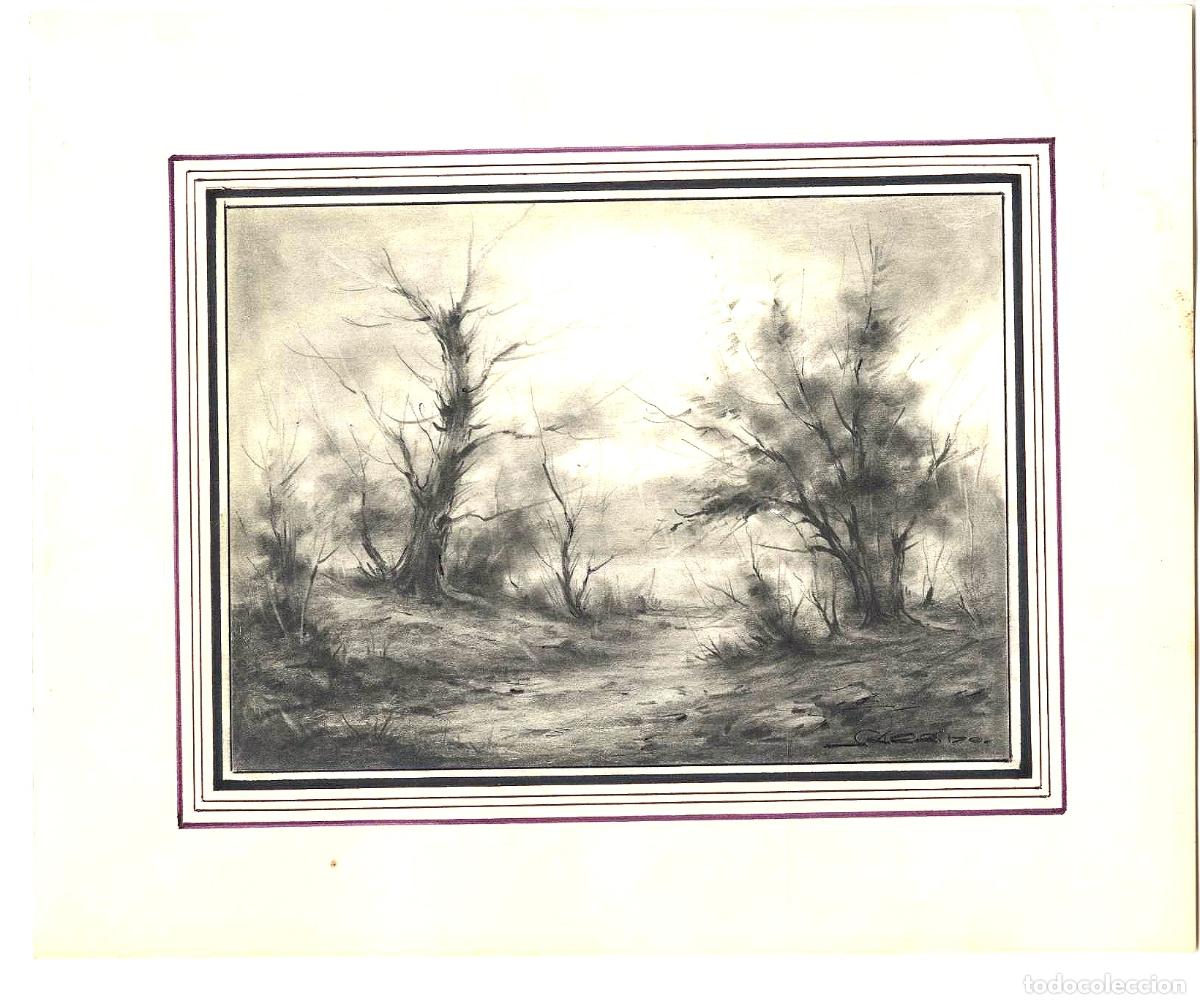 Art: Garrido - &Aacute;rboles en terreno &aacute;rido - 27x22 - Dibujo