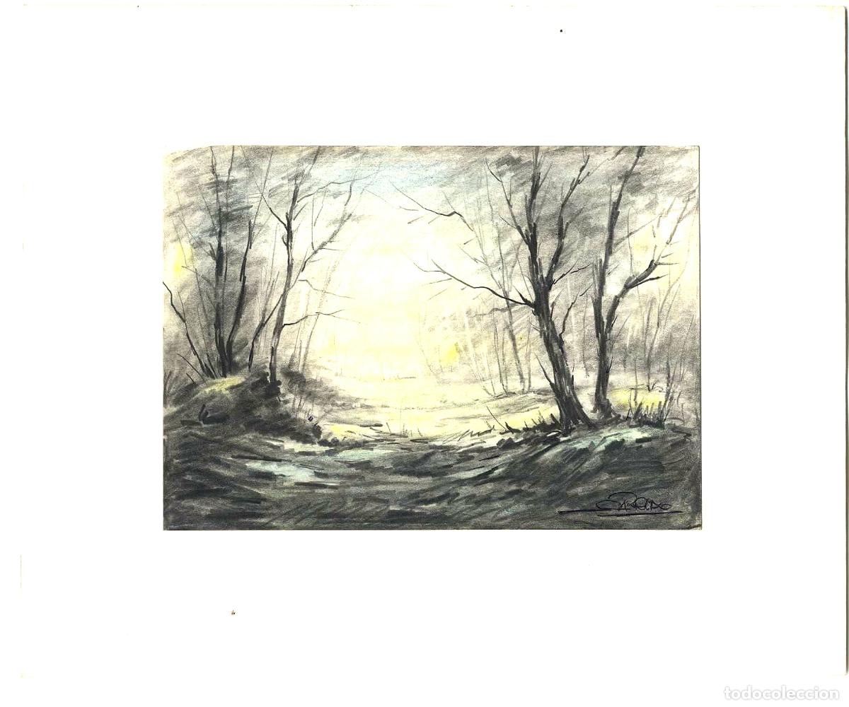 Arte: Garrido - Bosque de &aacute;rboles desnudos - 27x22 - Dibujo