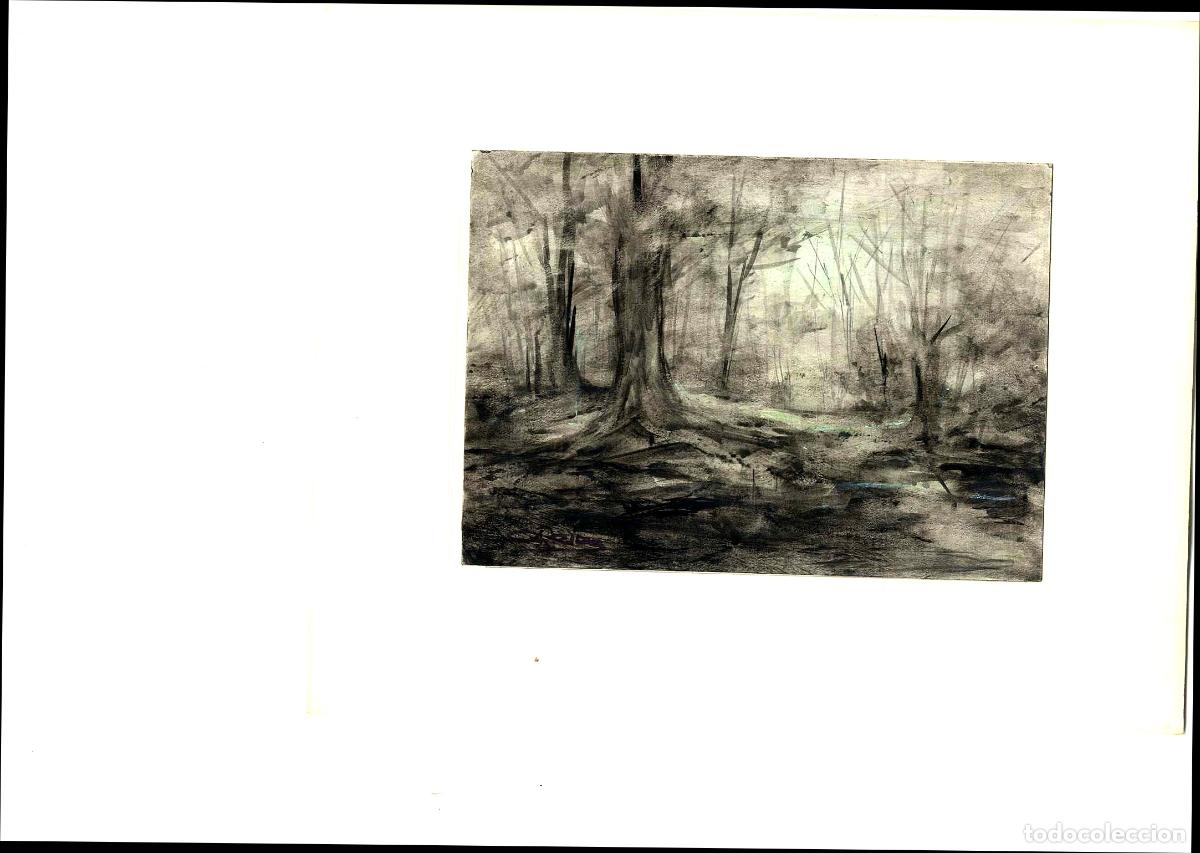 Arte: Garrido - &Aacute;rbol junto a un estanque - 27x22 - Dibujo