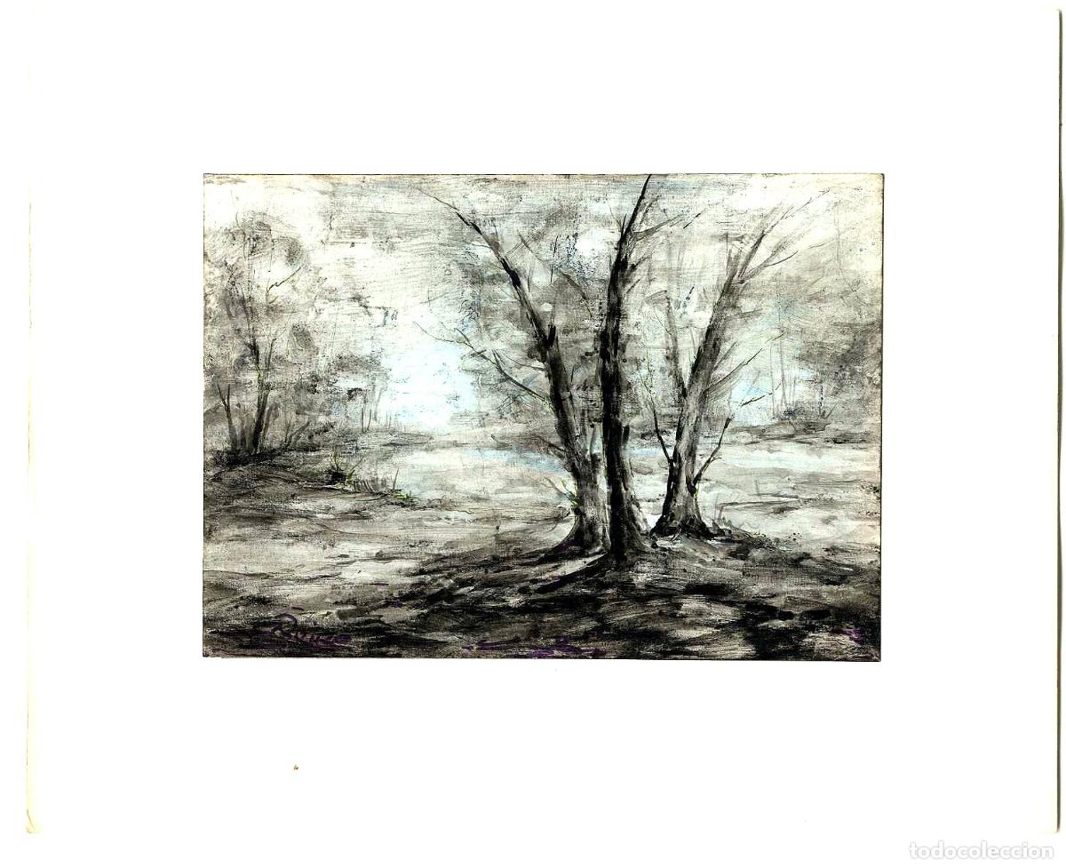 Arte: Garrido - &Aacute;rboles en primer plano - 27x22 - Dibujo