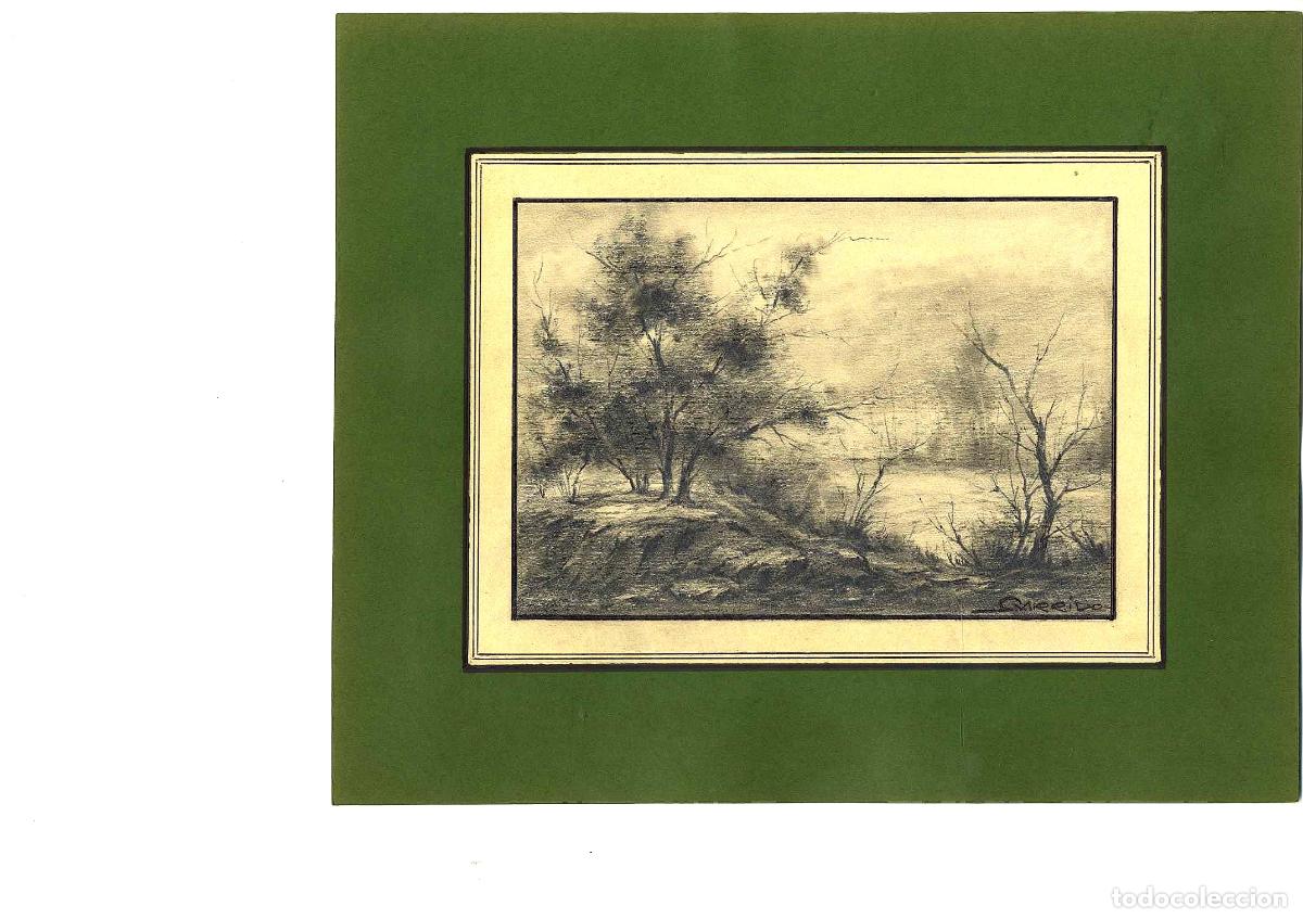 Arte: Garrido - &Aacute;rboles en terreno rocoso - 27x22 - Dibujo