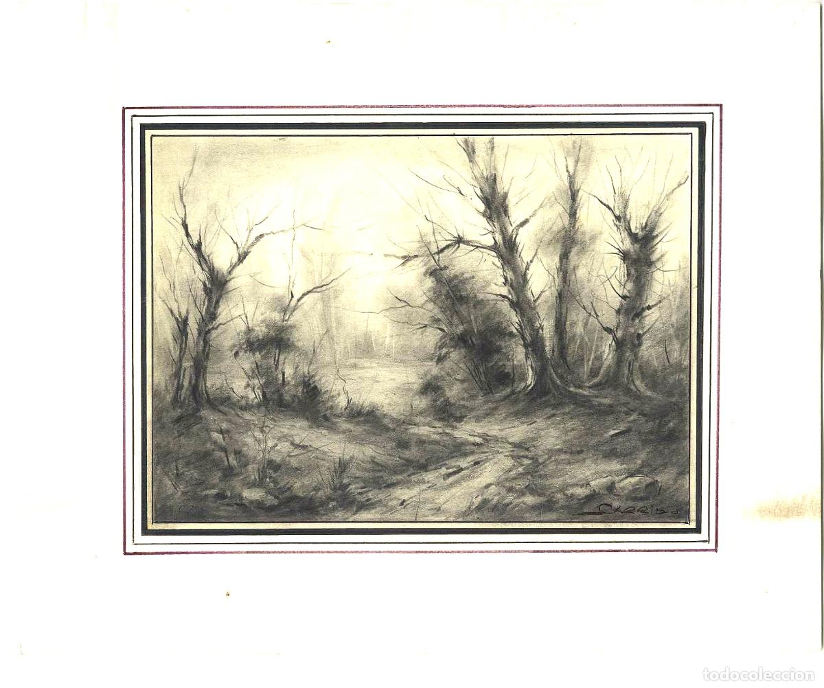 Art: Garrido - Bosque de &aacute;rboles desnudos - 27x22 - Dibujo