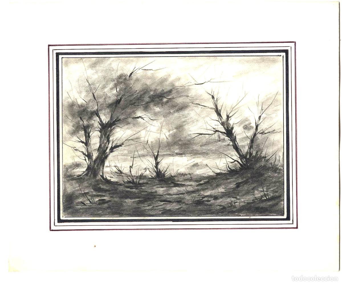 Arte: Garrido - &Aacute;rboles en terreno &aacute;rido - 27x22 - Dibujo