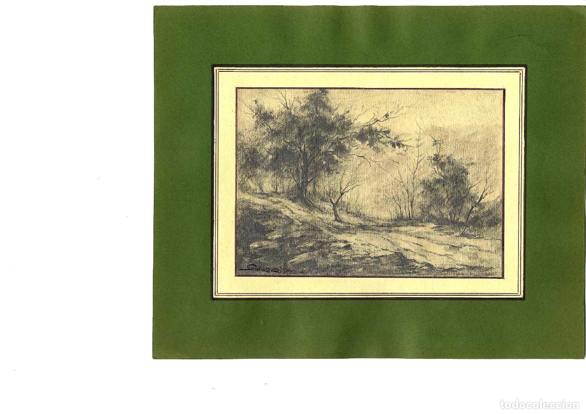 Arte: Garrido - Bosque en tonos sepia - 27x22 - Dibujo