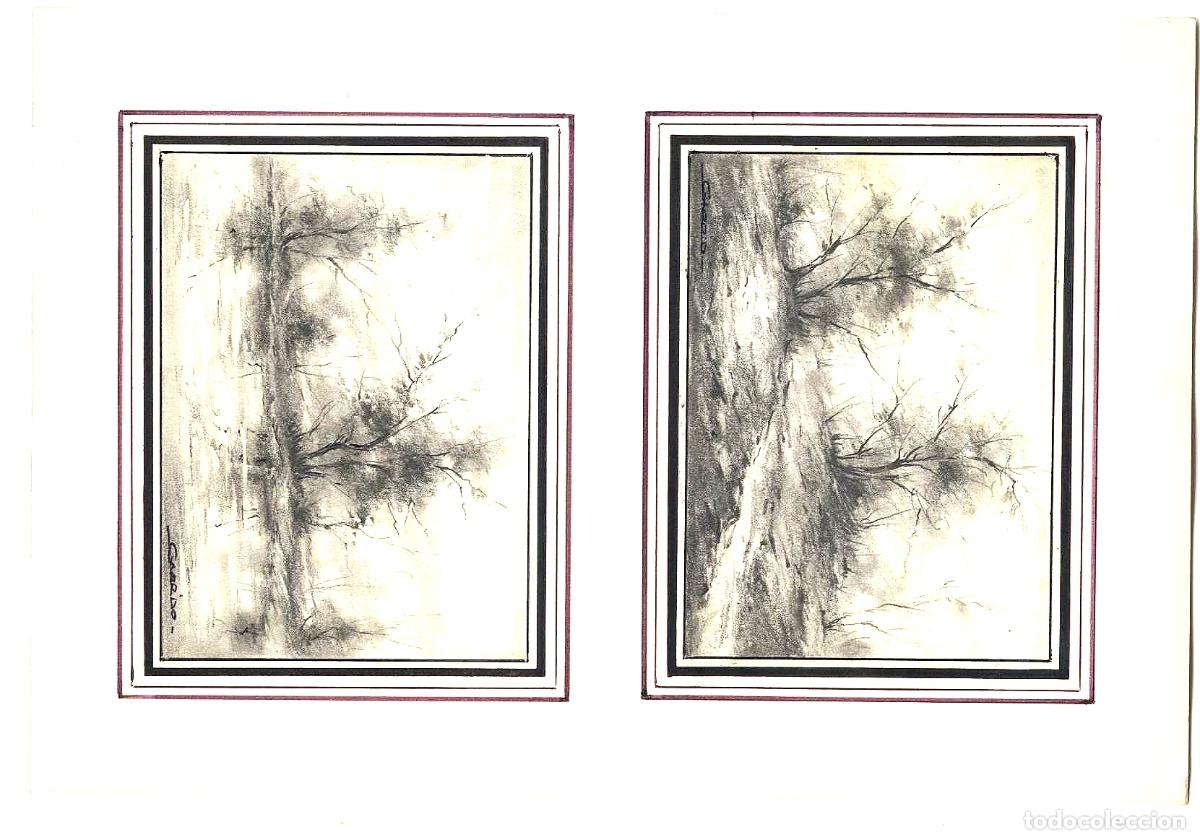 Arte: Garrido - &Aacute;rboles en primer plano - 27x22 - Dibujo