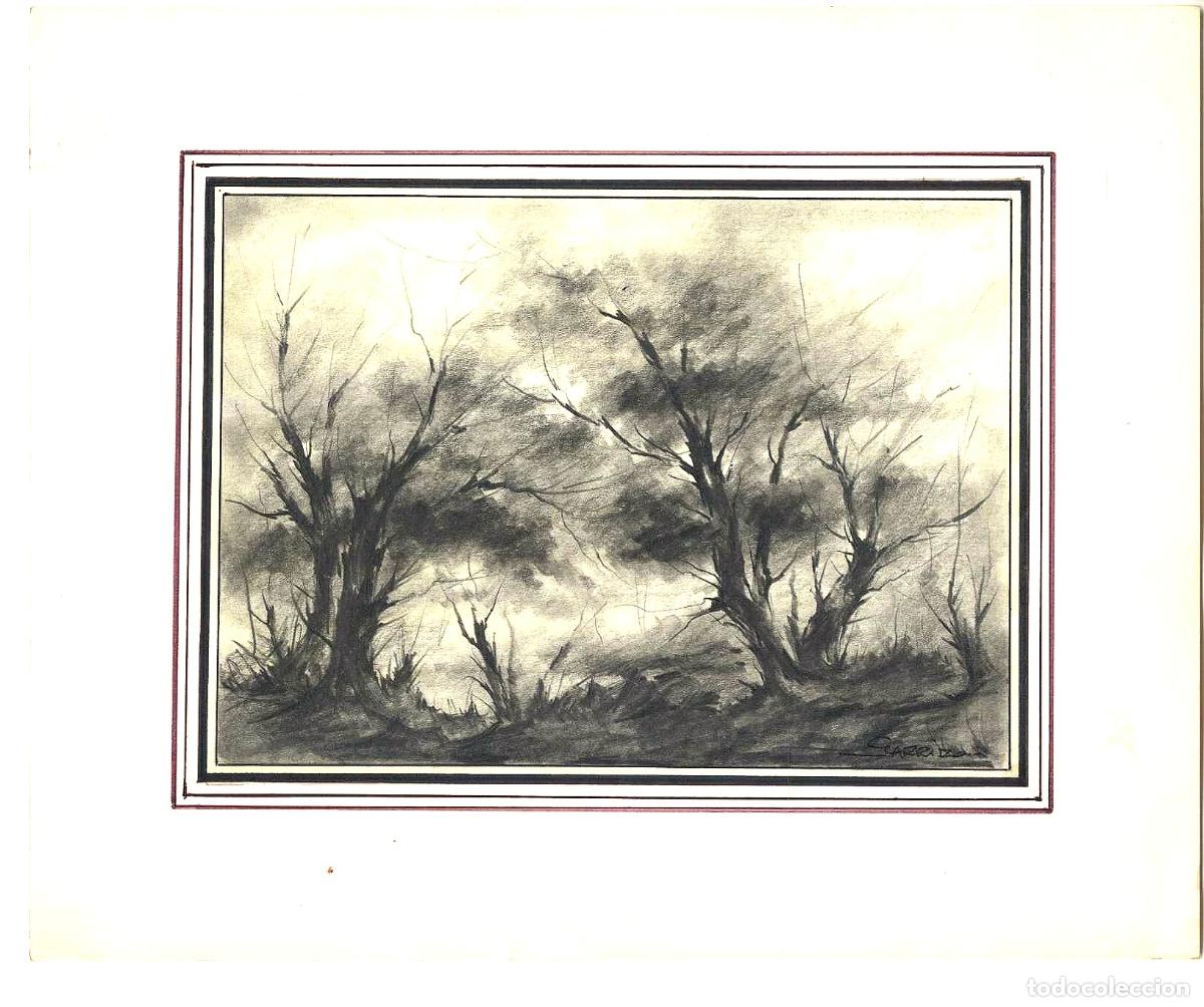 Arte: Garrido - &Aacute;rboles en terreno &aacute;rido - 27x22 - Dibujo