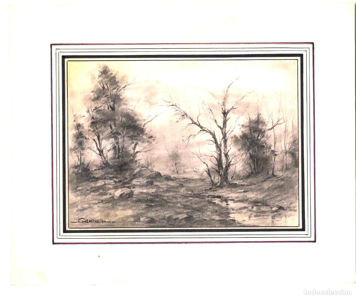 Arte: Garrido - &Aacute;rboles en terreno &aacute;rido - 27x22 - Dibujo