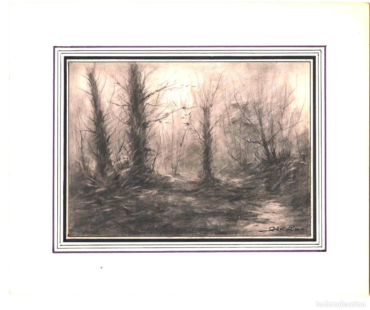 Art: Garrido - Bosque de &aacute;rboles desnudos - 27x22 - Dibujo