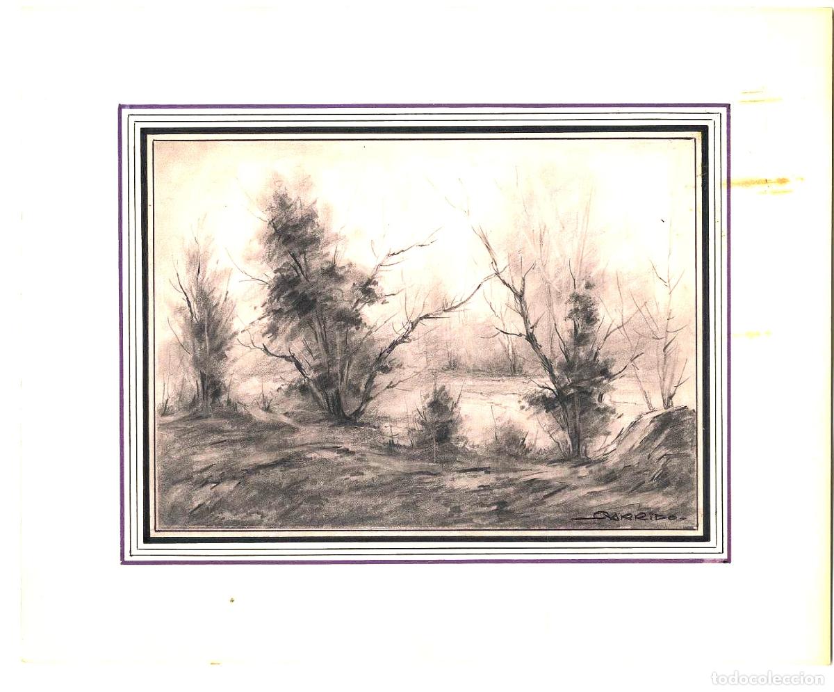 Art: Garrido - &Aacute;rboles en primer plano - 27x22 - Dibujo