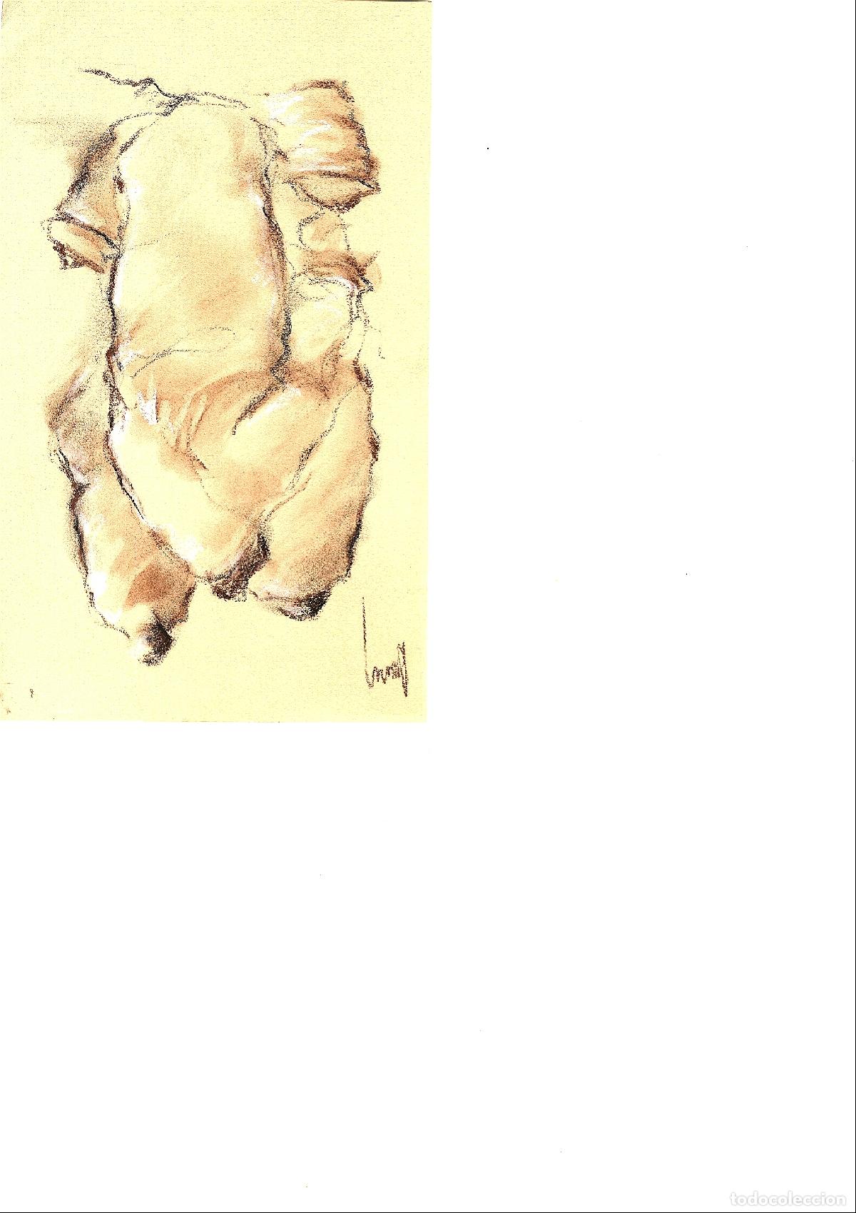 Arte: Mateu - Cabeza de perro - 22x15 - Dibujo