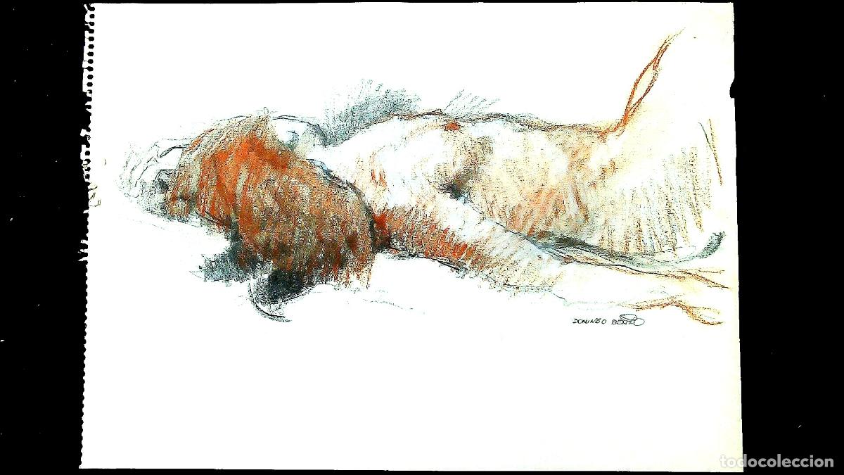 Arte: Domingo Benito - Perro en reposo - 40x30 - Dibujo