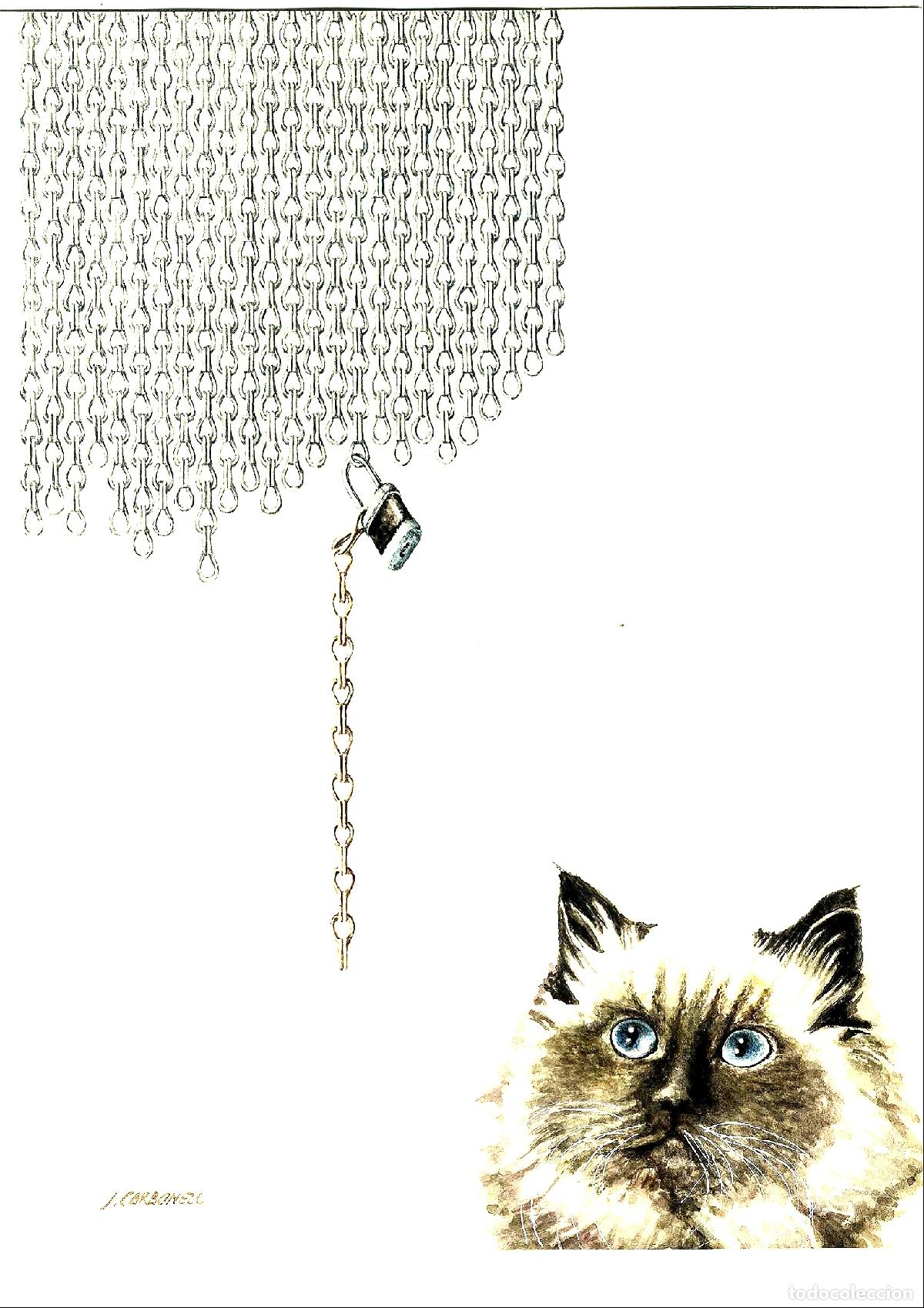 Arte: Jaume Carbonell - Gato bajo cadenas - 40x30 - Dibujo