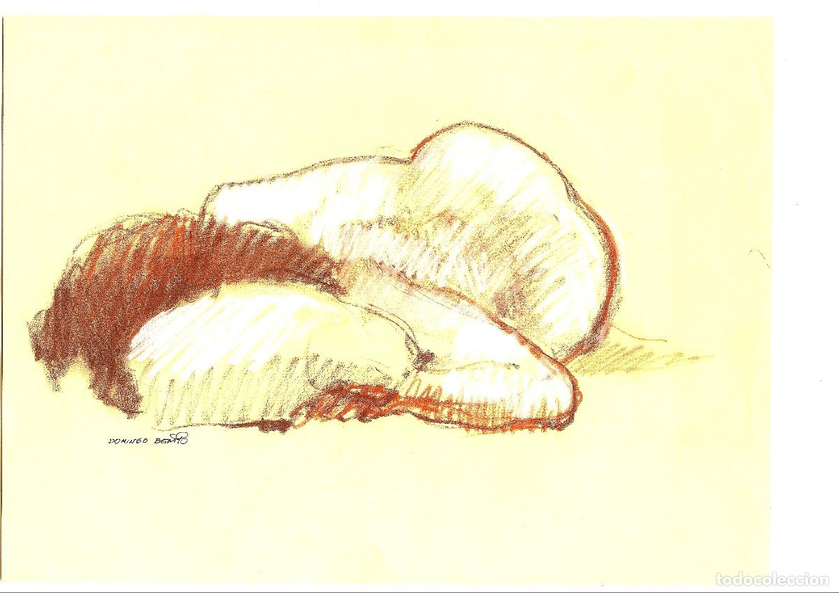 Art: Domingo Benito - Pan en estudio - 40x30 - Dibujo