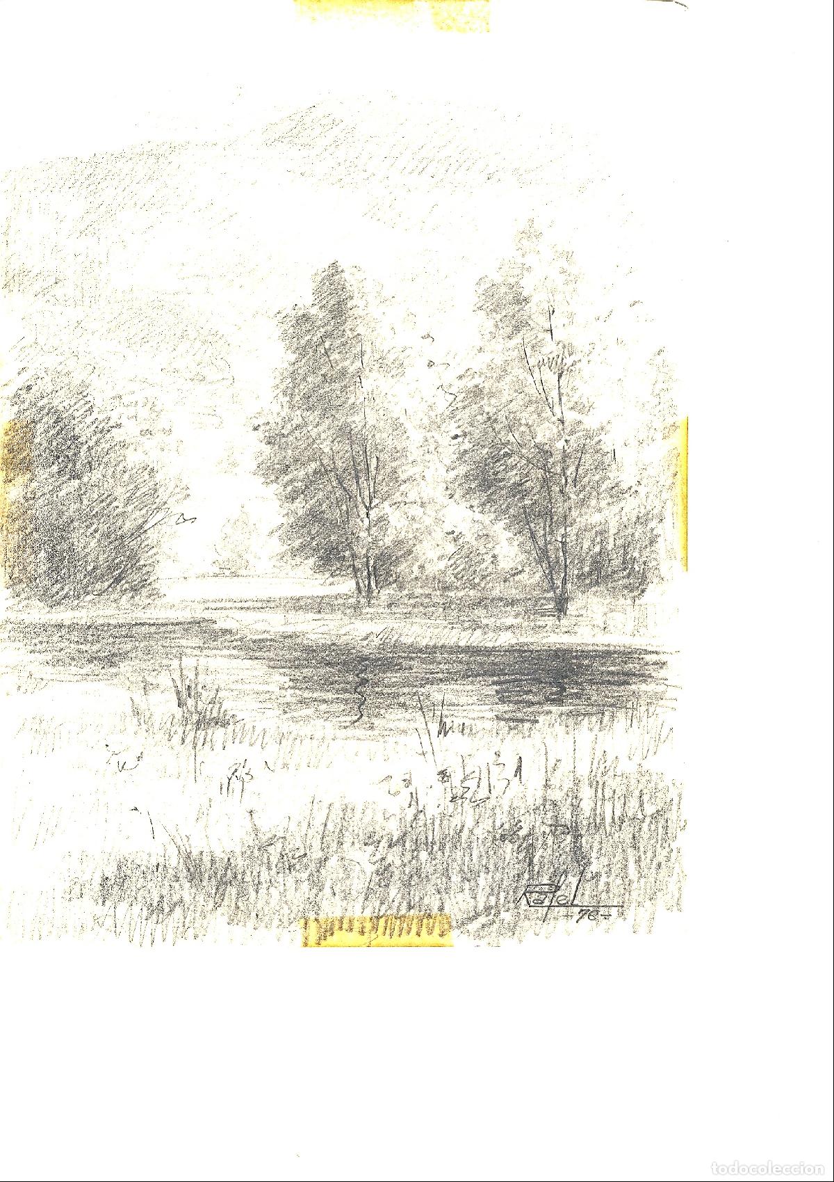 Arte: Rafel - &Aacute;rboles en primer plano - 35x25 - Dibujo