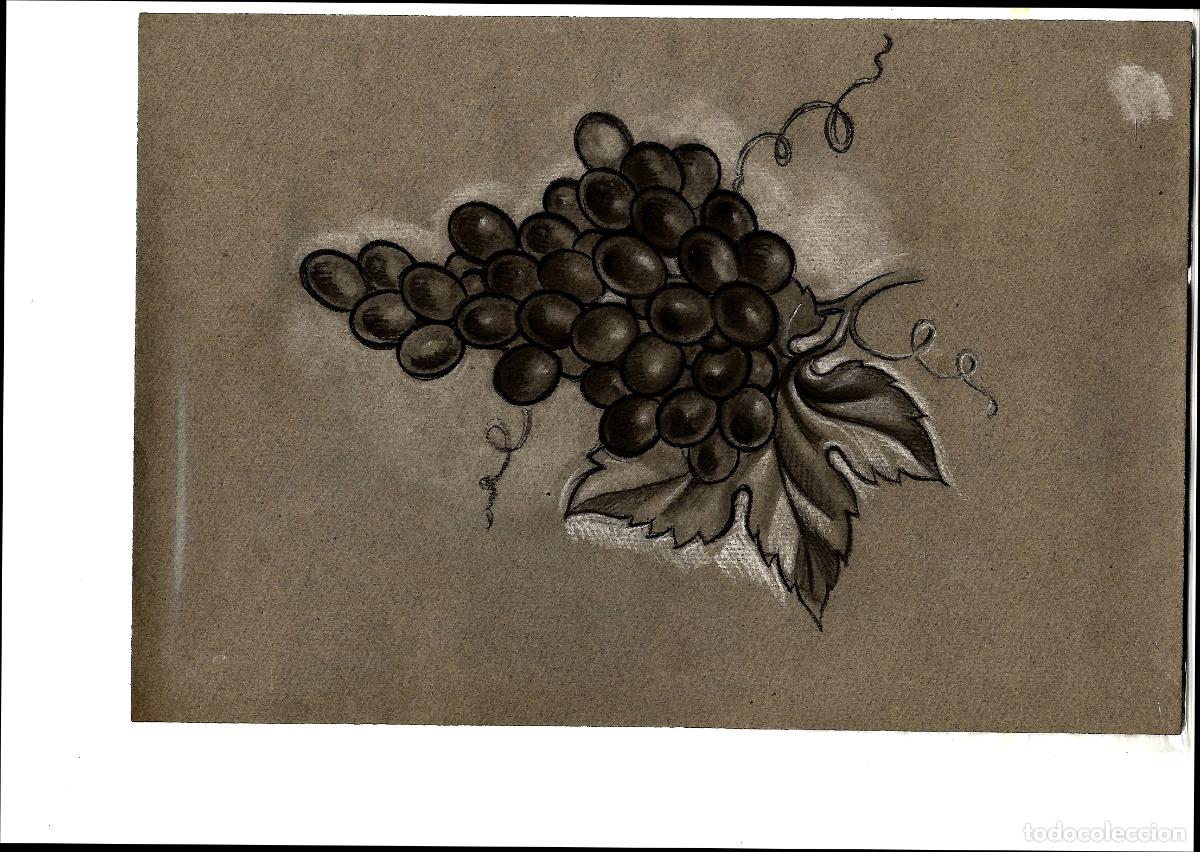 Arte: Anonimo - Racimo de uvas - 35x25 - Dibujo