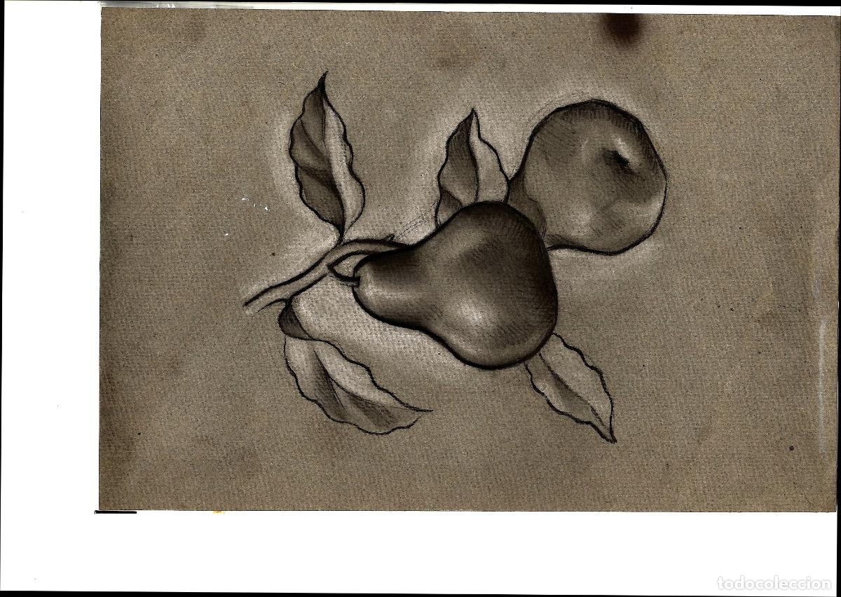 Arte: Anonimo - Frutas con hojas - 35x25 - Dibujo