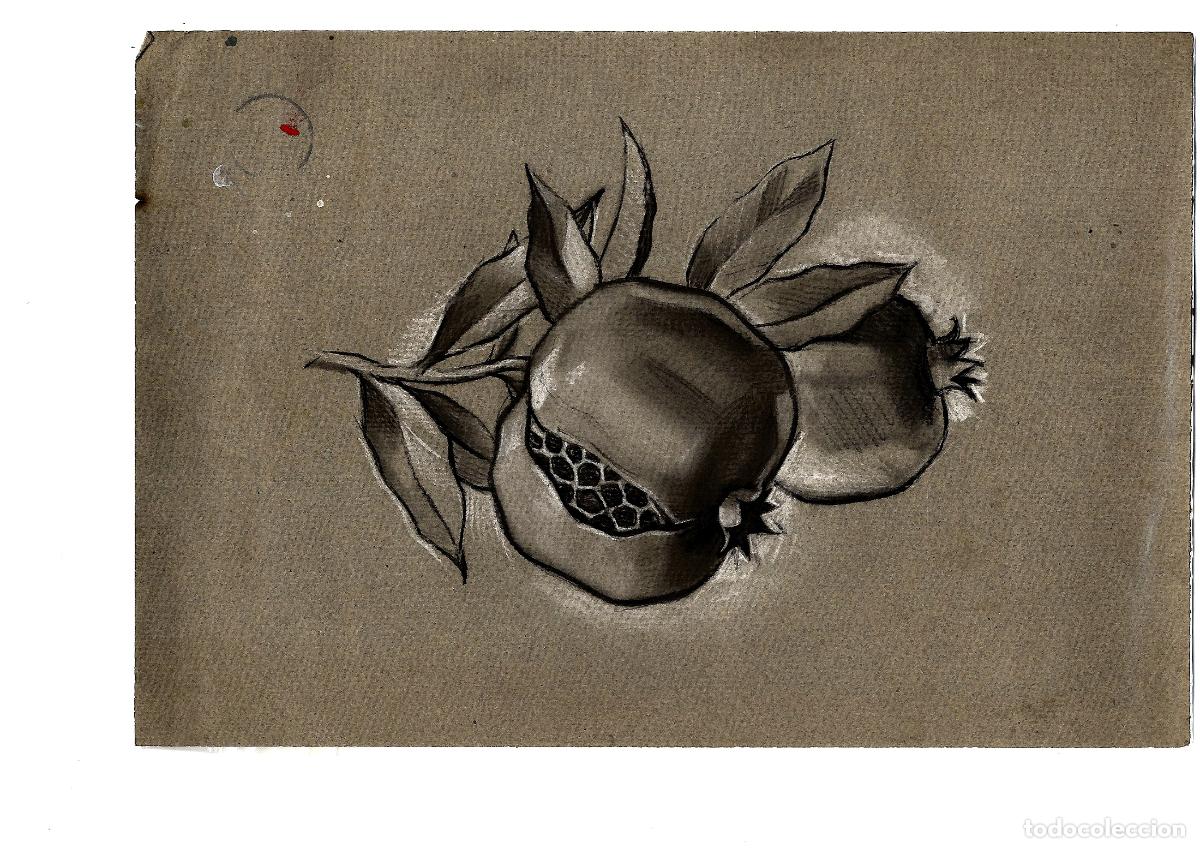 Arte: Anonimo - Pomegranates con Hojas - 35x25 - Dibujo