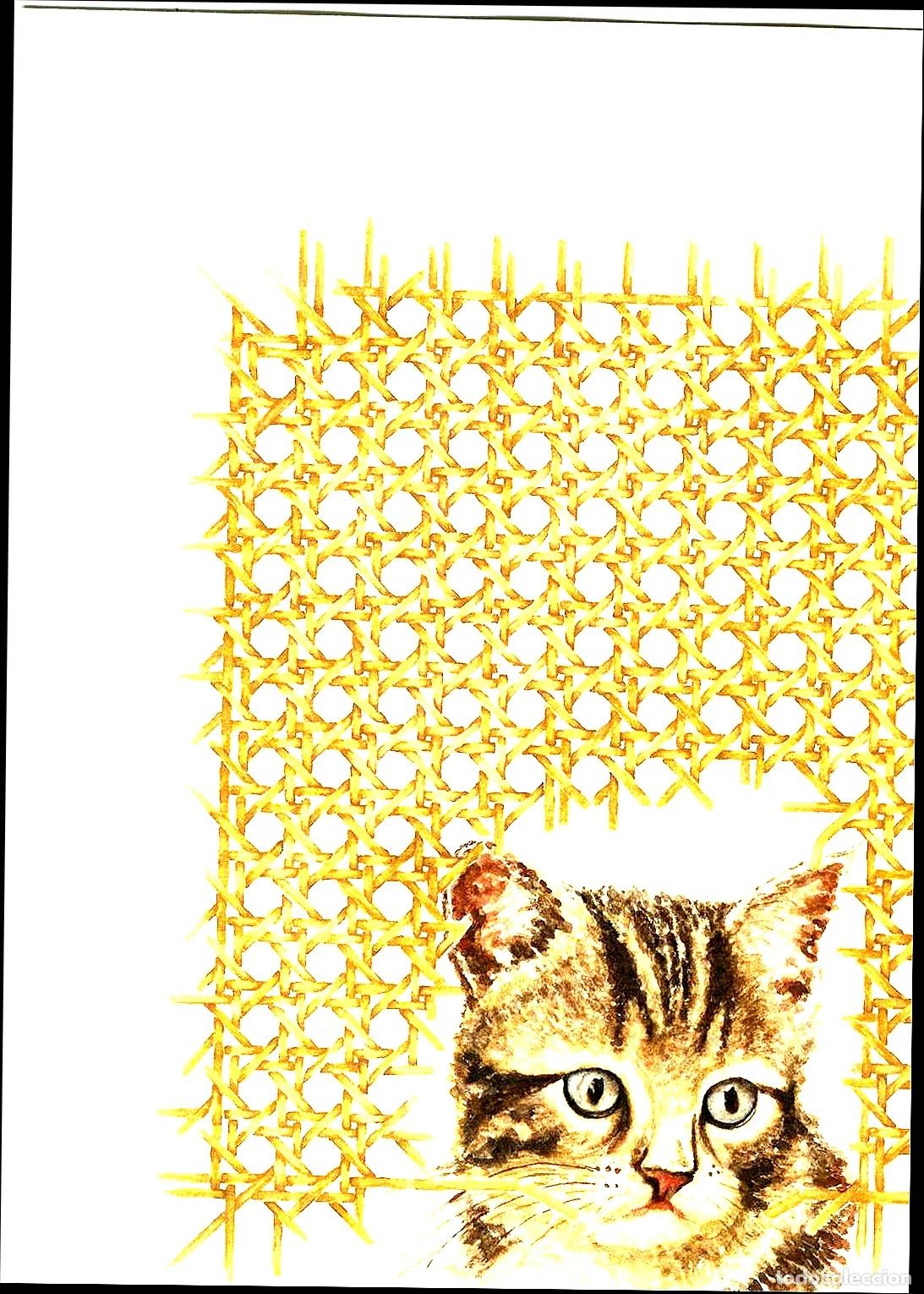 Arte: Jaume Carbonell - Gato tras encaje dorado - 30x22 - Dibujo