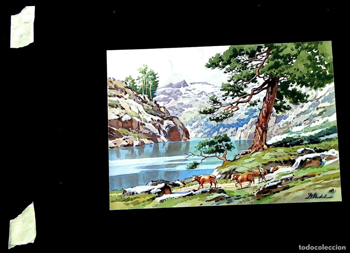 Arte: Ilegible - Vacas junto al lago - 35x25 - Acuarela