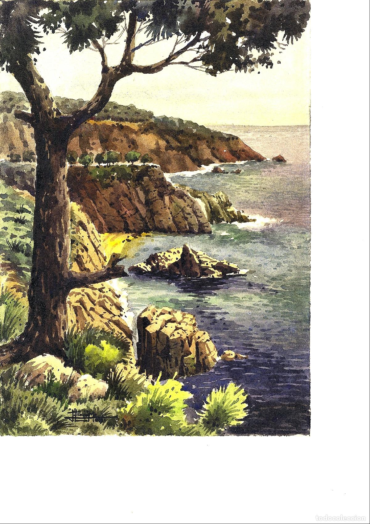 Kunst: Ilegible - Costa rocosa con &aacute;rbol - 35x25 - Acuarela