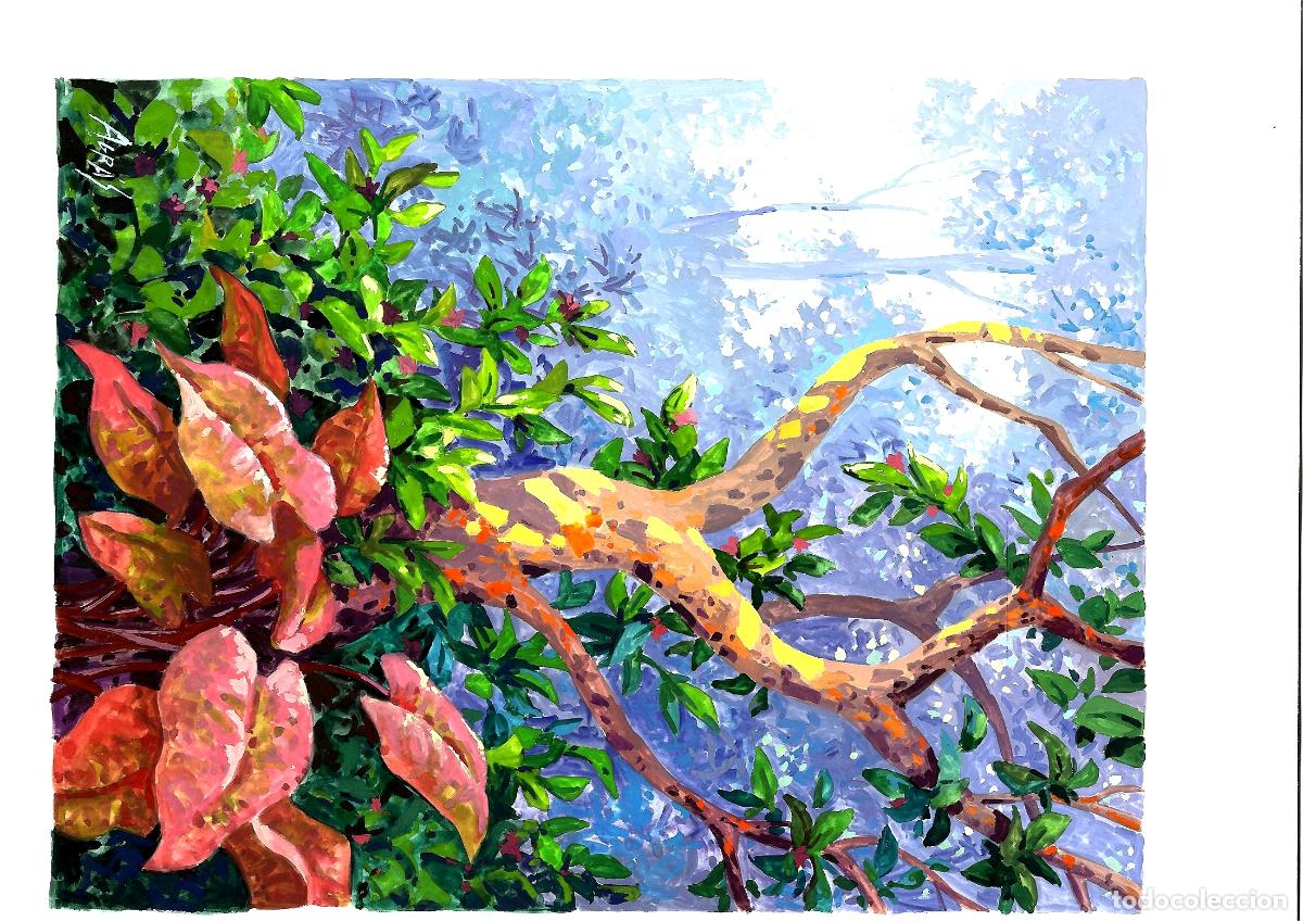 Arte: Ilegible - Serpiente en el bosque - 35x25 - Acuarela