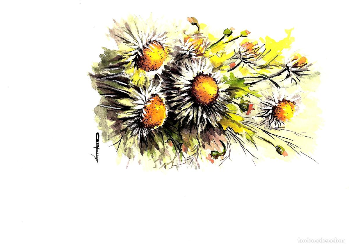 Arte: Ilegible - Flores de colores vivos - 35x25 - Acuarela