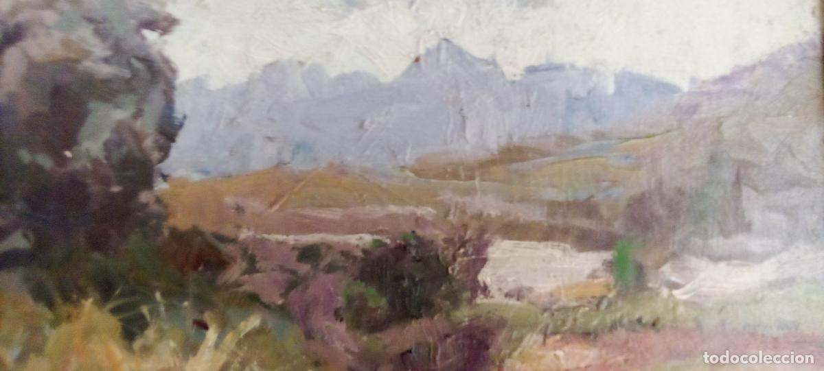 Arte: EL GRAU. CASTELL&Oacute;N. P. FRESQUET.