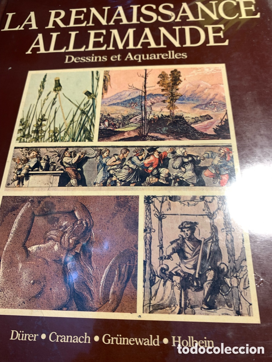 Arte: La renaissance allemande,Teresa gerszi