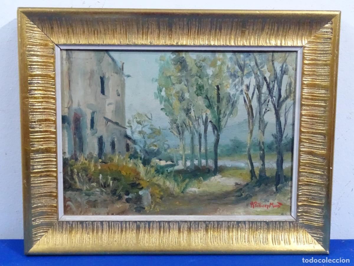 Arte: &Oacute;LEO SOBRE TELA RAMON PELLICER I MIRET. PAISAJE.