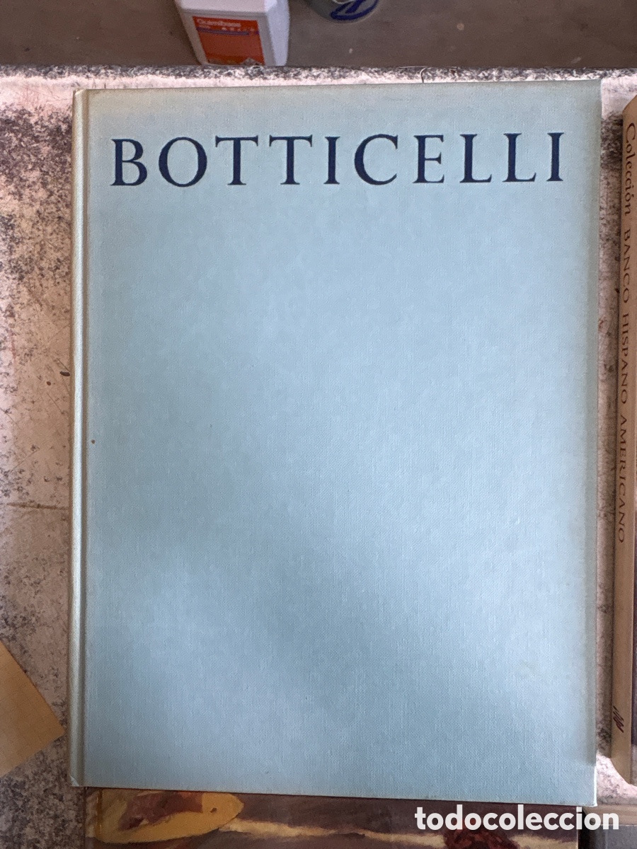 Arte: Lote 6 Libros de Arte (Vermeer, Botticelli, Paisaje del 98...)