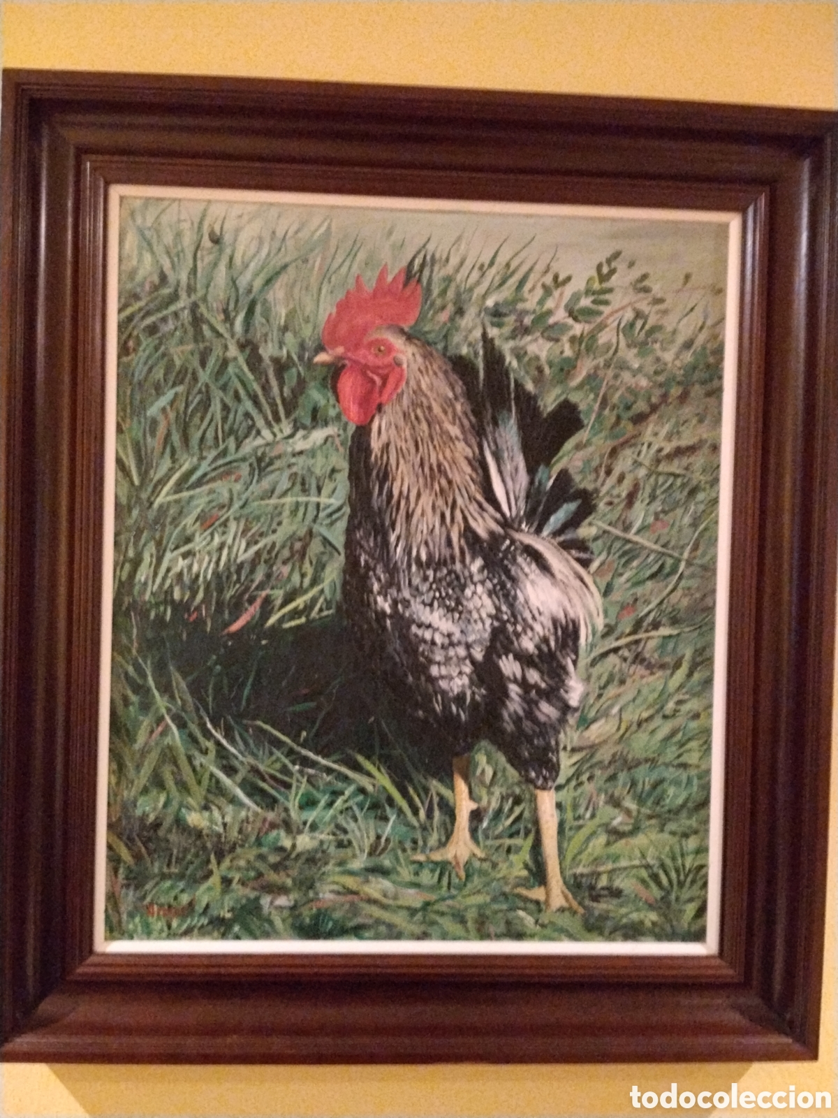 Art: Cuadro &oacute;leo gallo firmado &Aacute;ngel con marco