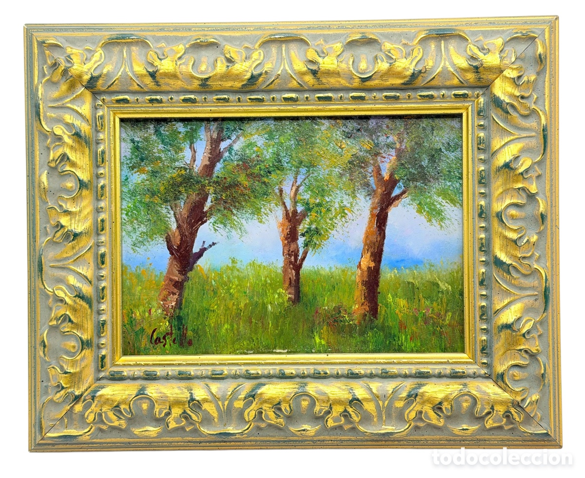 Art: Paisaje al &Oacute;leo Enmarcado. Castelo.