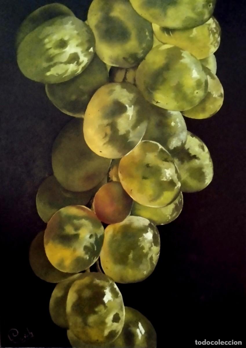 Art: Racimo-&Oacute;leo sobre lienzo pintado por Inma Escrich