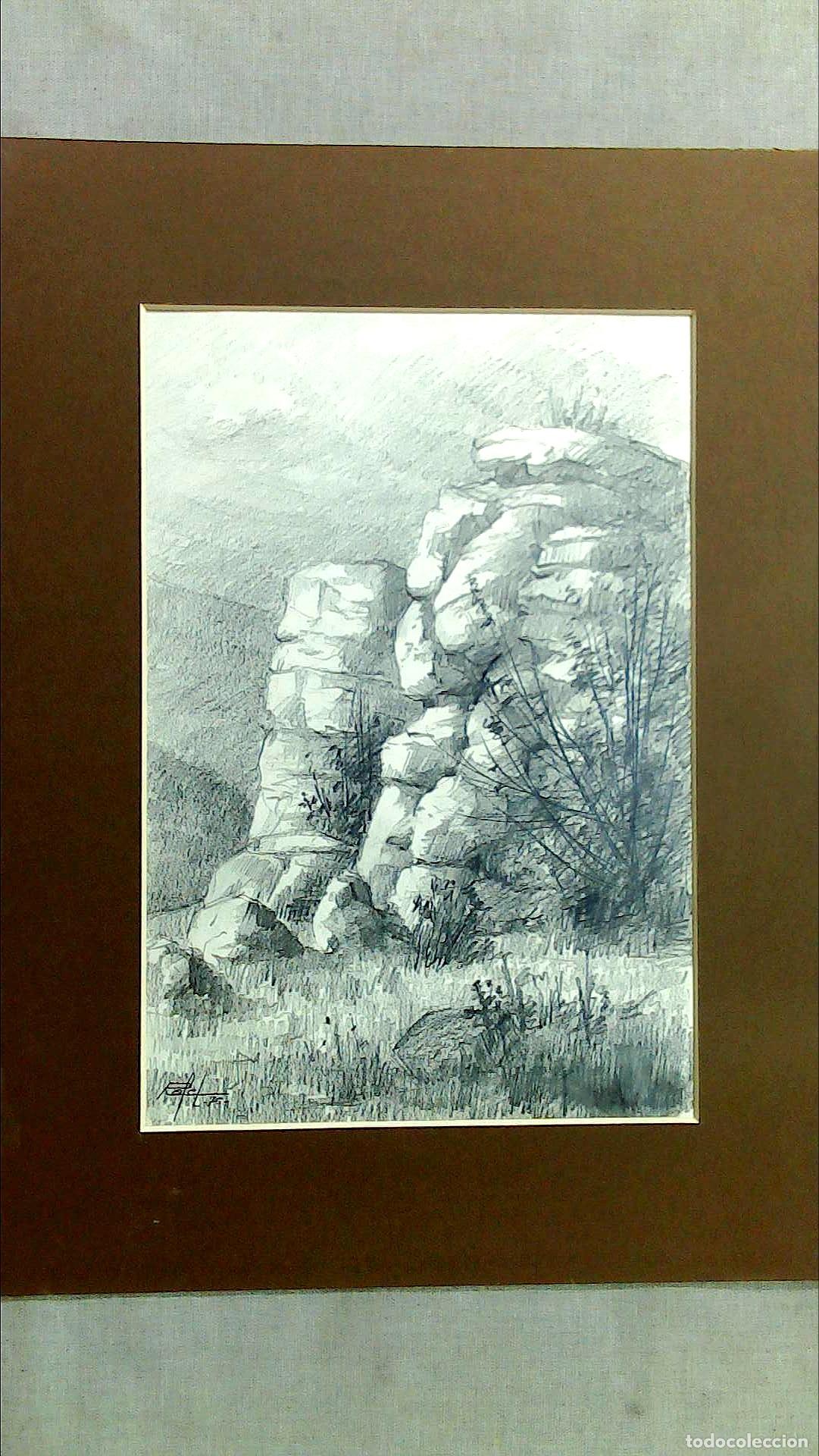 Arte: Rafel - Roca en primer plano - 44x28 cm - Dibujo