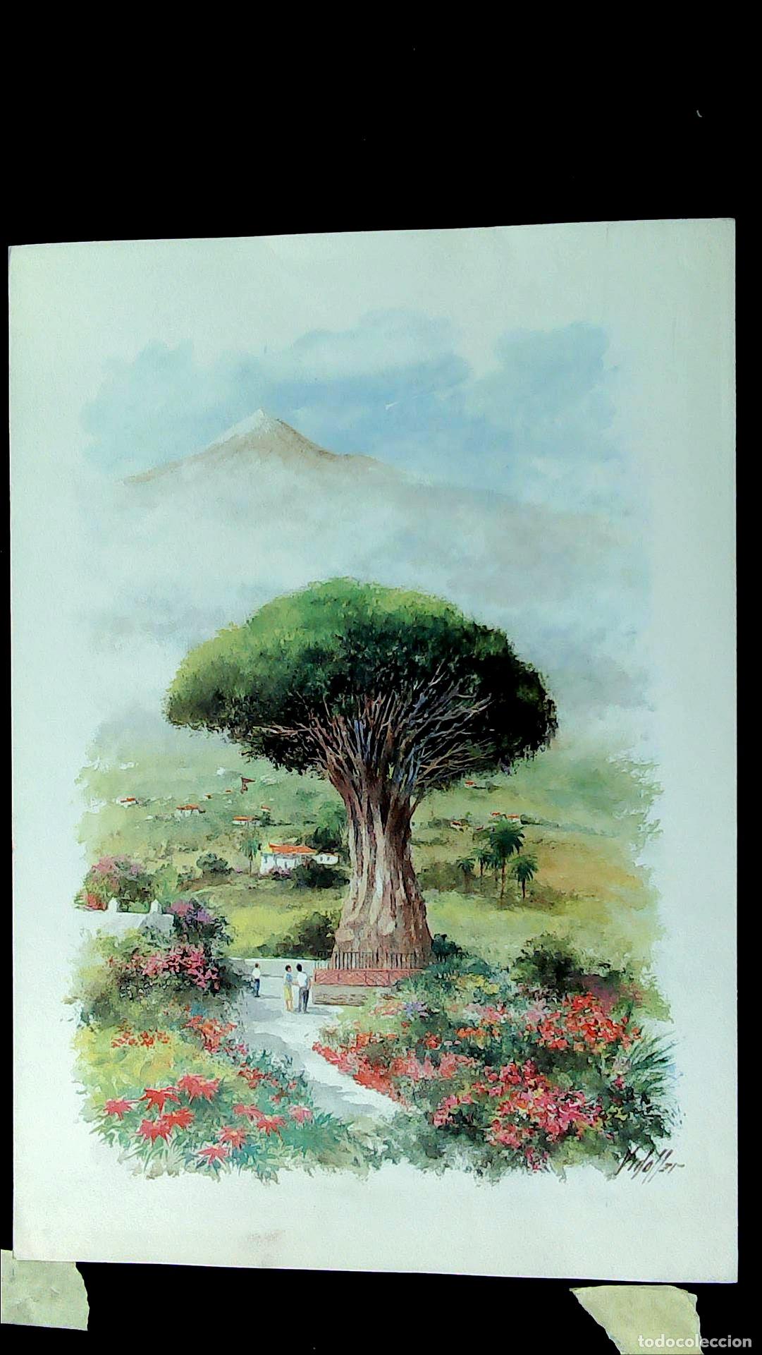 Arte: Vidaller - &Aacute;rbol en primer plano - 50x35 cm - Acuarelas