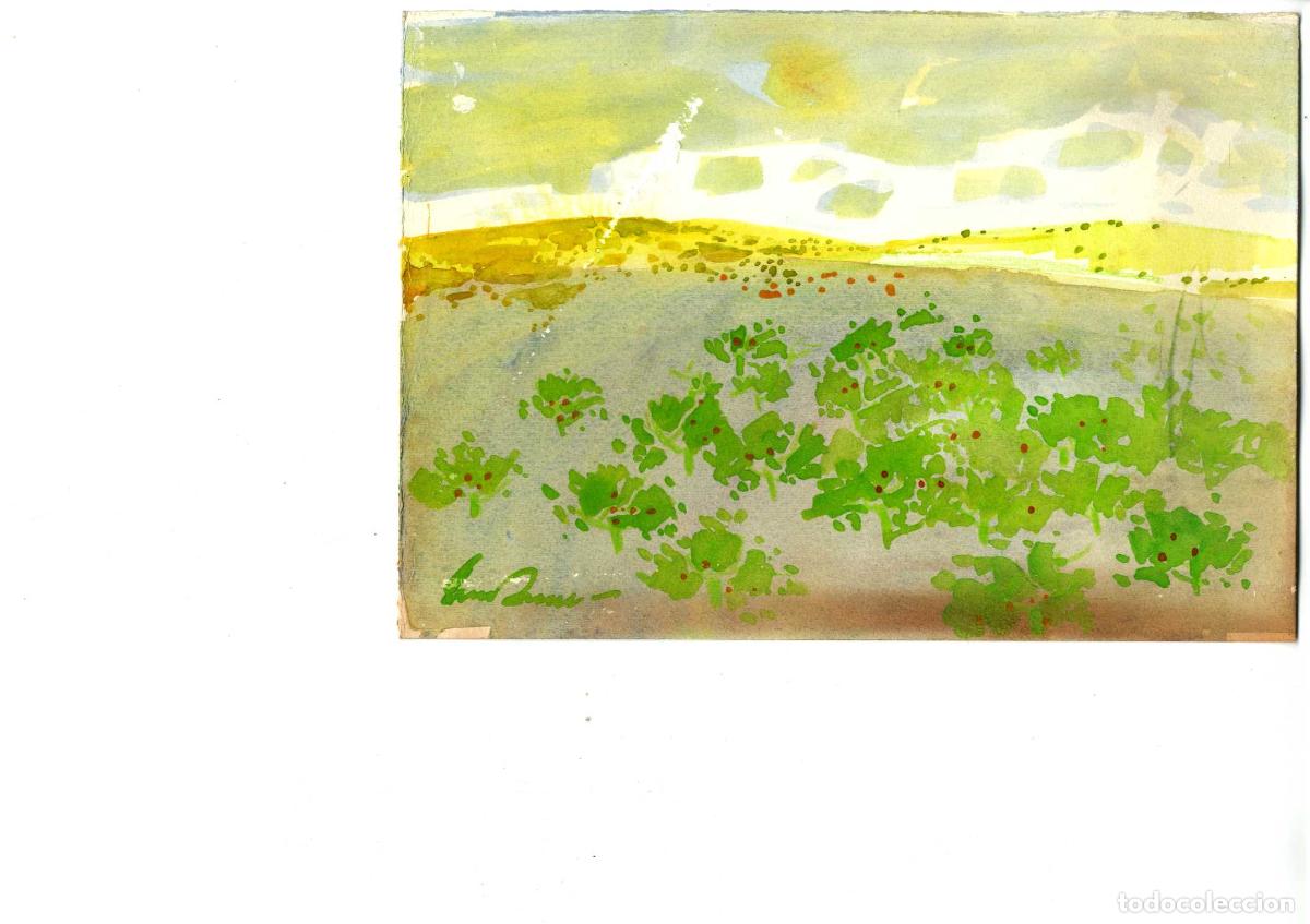 Arte: Luis Amer - Flora en primer plano - 22x19 cm - Acuarelas