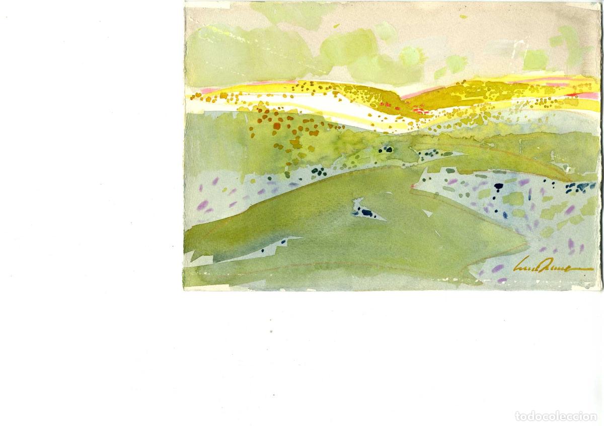 Arte: Luis Amer - Paisaje de colinas verdes - 22x19 cm - Acuarelas
