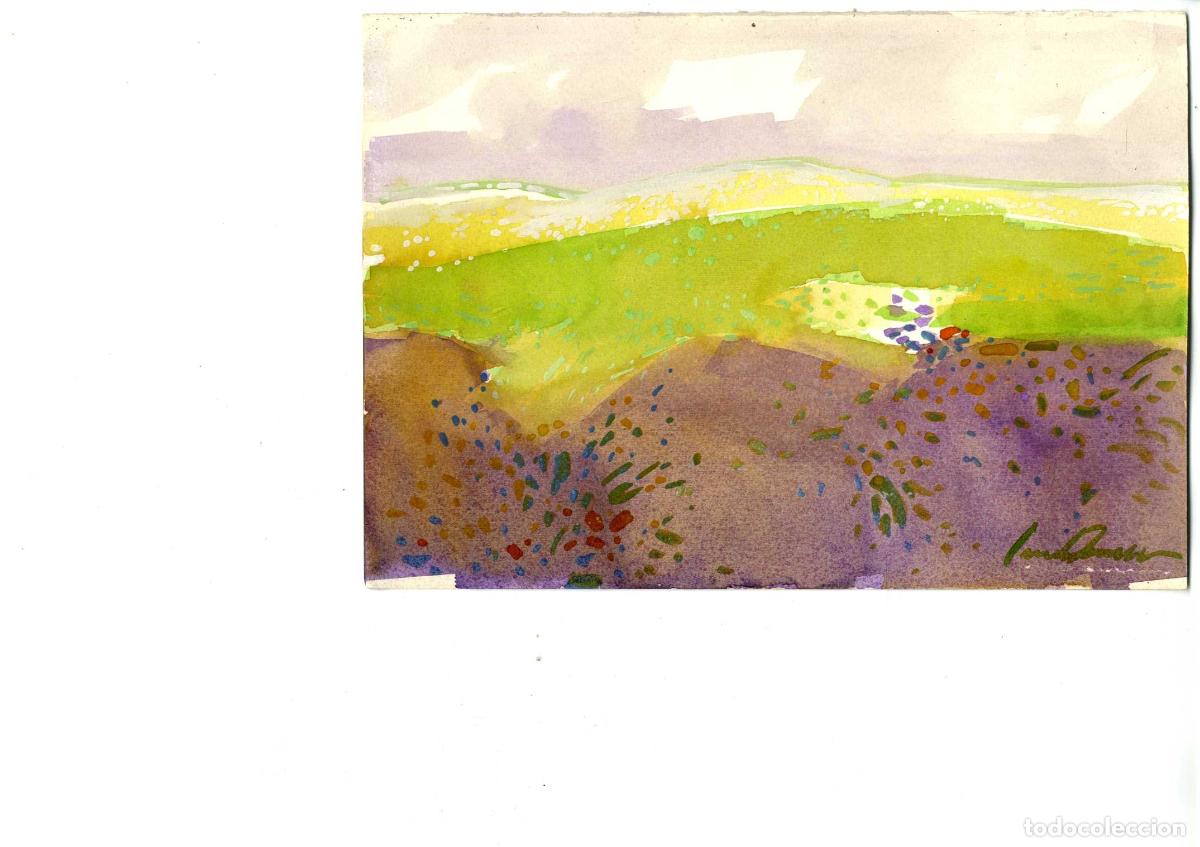 Arte: Luis Amer - Flores en colina - 22x19 cm - Acuarelas