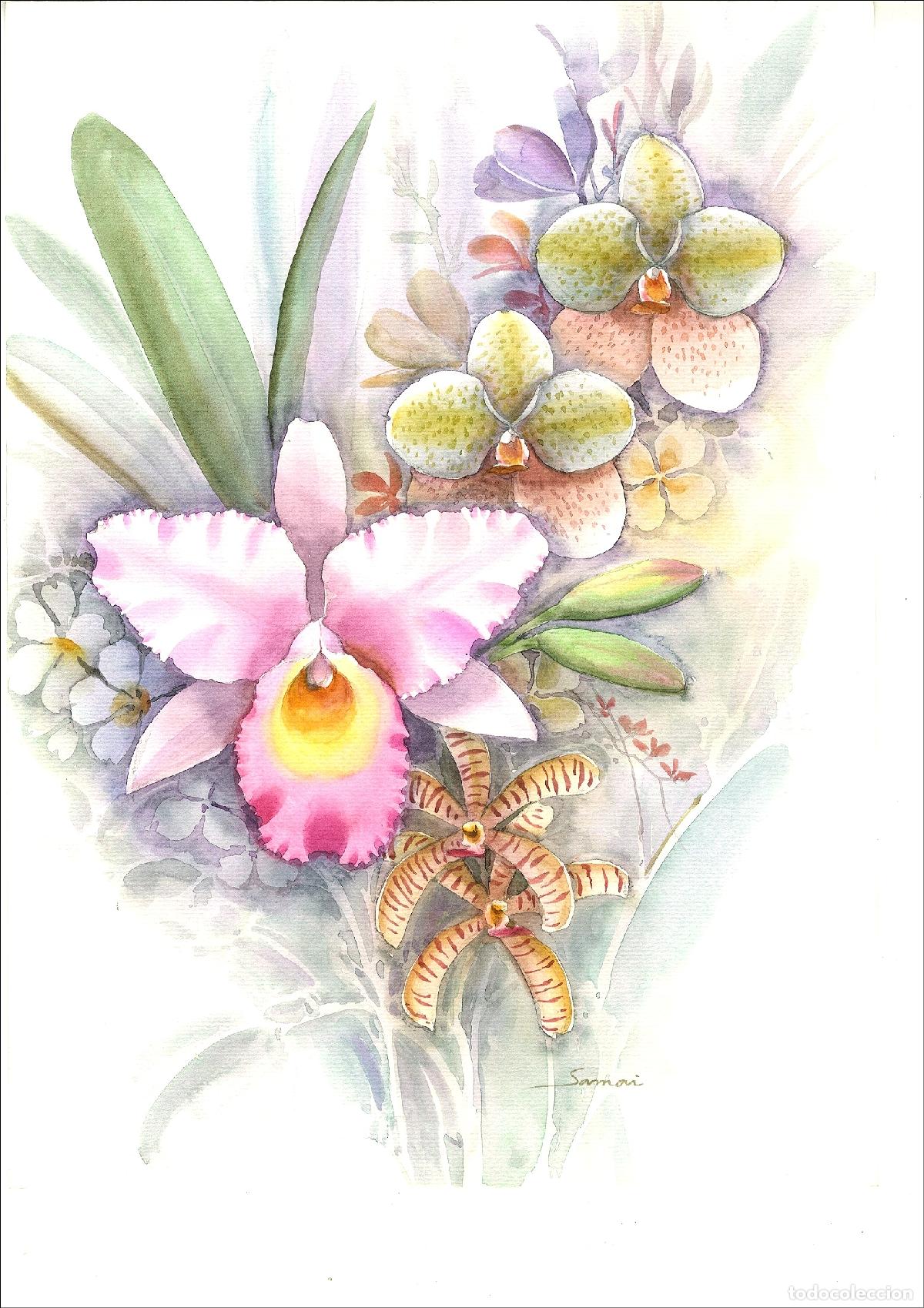 Arte: Anonimo-Ilegible - Orquidea rosada con flores - 38x28 cm - Acuarelas
