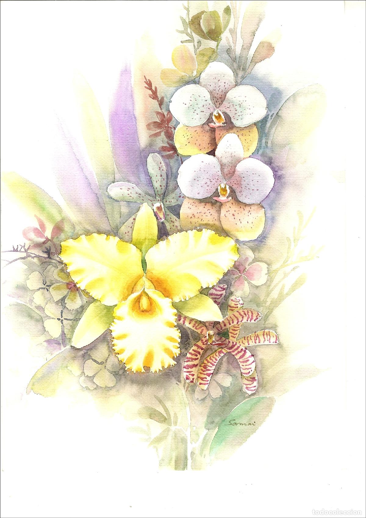 Arte: Anonimo-Ilegible - Flores amarillas y orqu&iacute;deas - 38x28 cm - Acuarelas