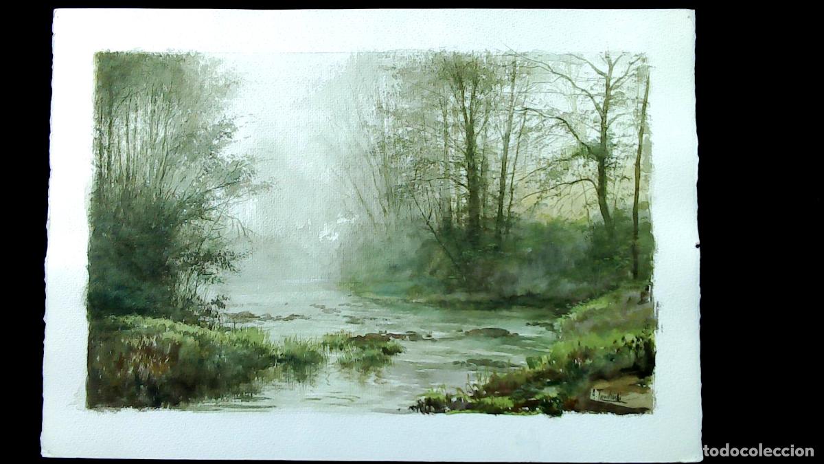 Arte: Amado Torreschandi - R&iacute;o en niebla matutina - 50x35 cm - Acuarelas