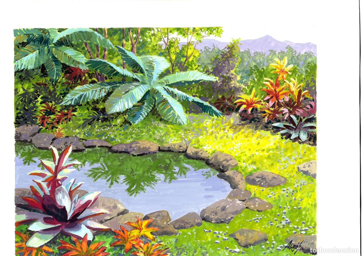 Arte: Agras - Jard&iacute;n tropical con estanque - 35x25 cm - Acuarelas