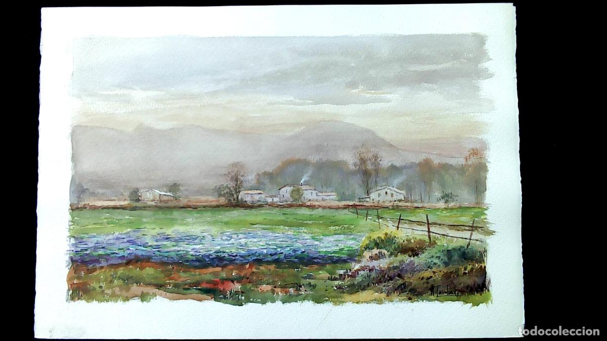 Arte: Amado Torreschandi - Casas de campo - 50x35 cm - Acuarelas