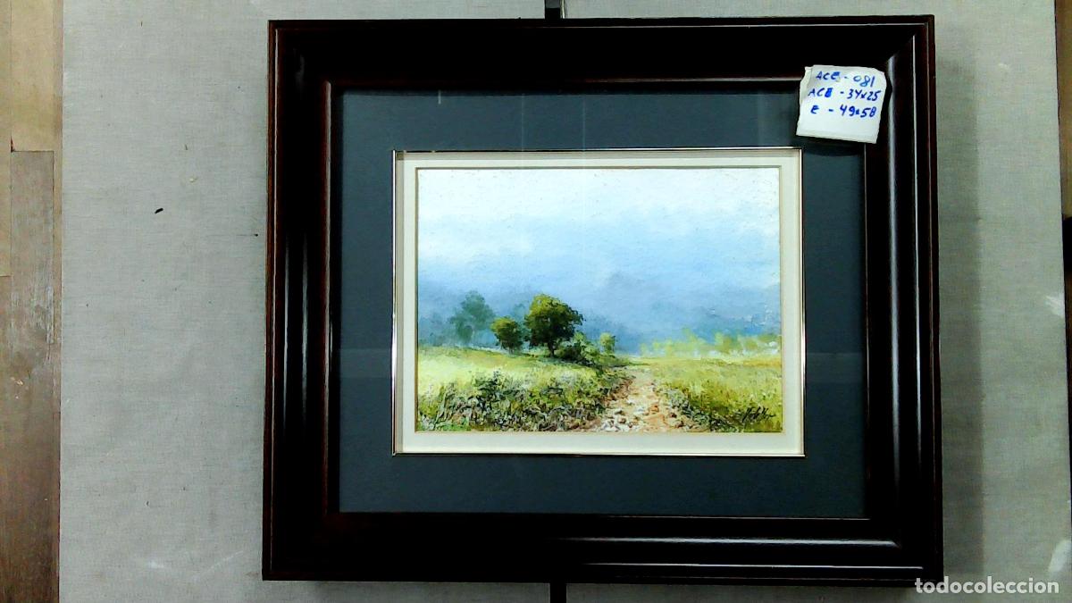 Arte: Vidaller - Sendero en colina verde - 62x52 cm - Acuarelas enmarcadas