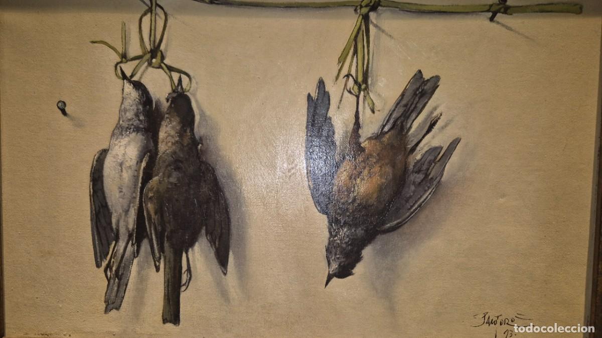 Arte: Cuatro 4 Cuadros al &oacute;leo de bodegones de trofeos de caza de p&aacute;jaros muertos de Paco Toro ,