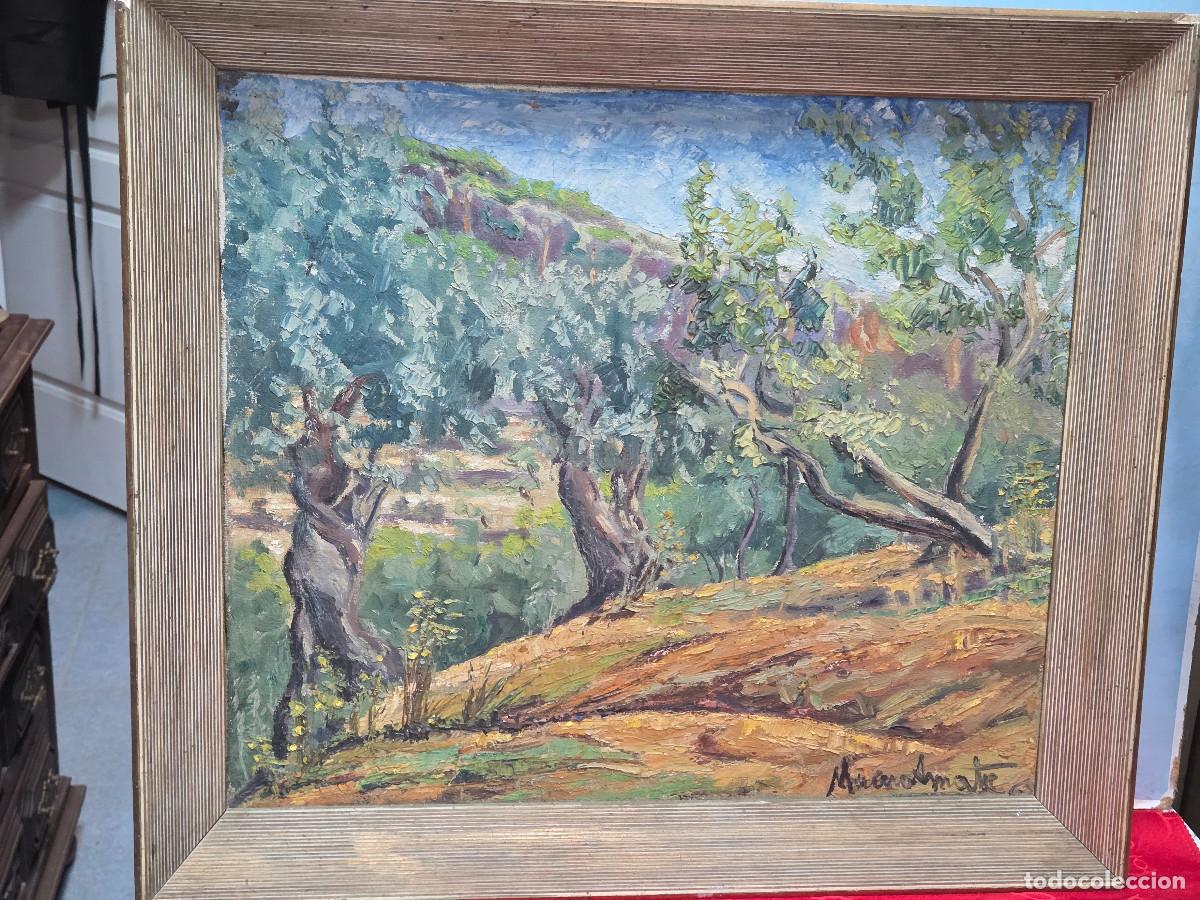 Arte: cuadro con pintura olivos de mallorca